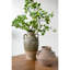 Vase en terre cuite Amphora