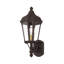 Lanterne murale d'extérieur H 17,25 po Anguel-22375509