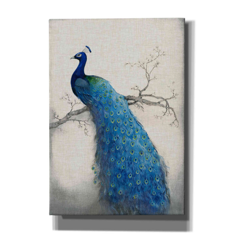 «Peacock Blue II» par Tim O'toole, art mural sur toile, H 26 po x l 18 po x P 0,75 po