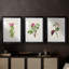 «Pretty Pink Botanicals IV», reproduction encadrée sur mesure de qualité supérieure - 3 pièces-1577315009-1577315008