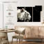 Curieux tigre blanc-107954913