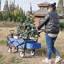 Outdoor Utility Wagon Folding Garden Cart-125205221