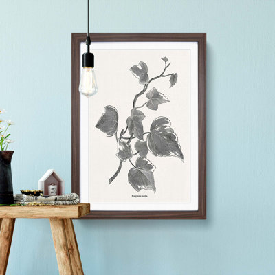Ivy Marginata Media by Shirley Hibberd - Framed Print
