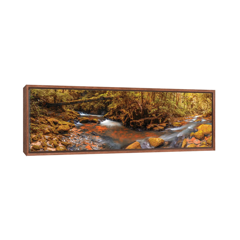 Jungle Panorama II 1 Piece Wall Art on Canvas, 121.92 cm H x 40.64 cm W, Brown Floater Frame