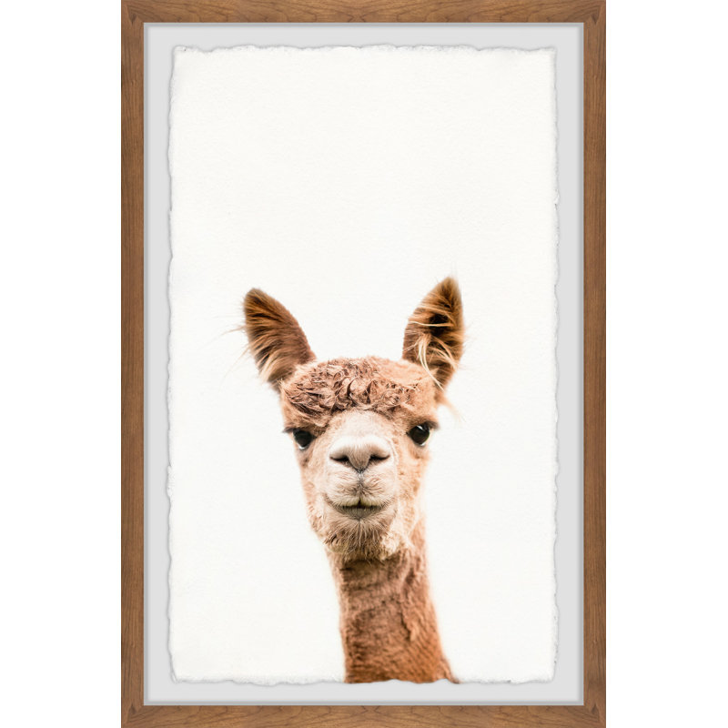 Marmont Hill - Single Picture Frame Print, 30cm H x 20cm W