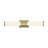Finis Dimmable LED Vanity Light