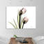 Tulip Love H37 - Wrapped Canvas Print-2090897472