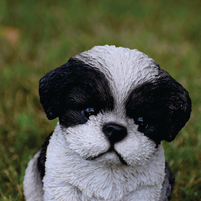 Sitting Shih Tzu Puppy Statue, Black/White