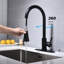 Robinet de cuisine avec douchette extractible
