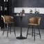 Blanchester Upholstered Counter Stool with Metal Frame
