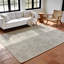 Oriental Area Rug-131436233