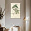 Moineau des marais-755083815