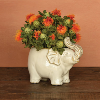 Elephant Statue Planter