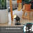 Acia Multipurpose Spotlight-841276988