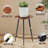 Laylin Plant Table 1 Tier