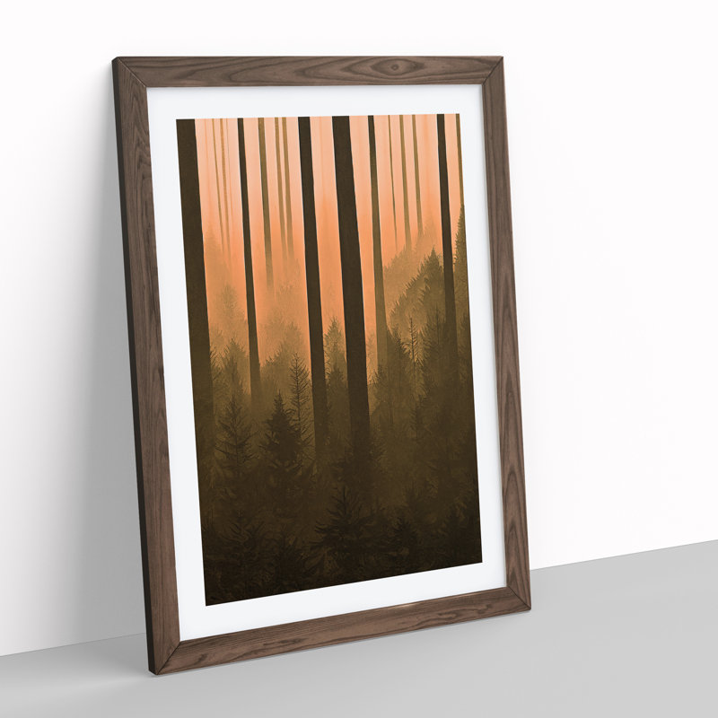 Autumnal Pine Tree Forest - Single Picture Frame Print, 64cm H x 46cm W x 2cm D, Walnut Framed