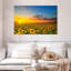 Crépuscule champ de tournesol Alvord-107684735