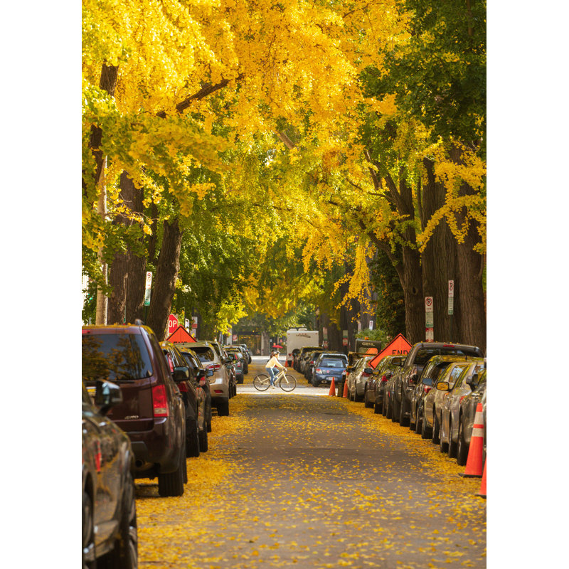 Ginkgo Season Print by Angela Pan, Black Framed Canvas, 32" H x 24" W