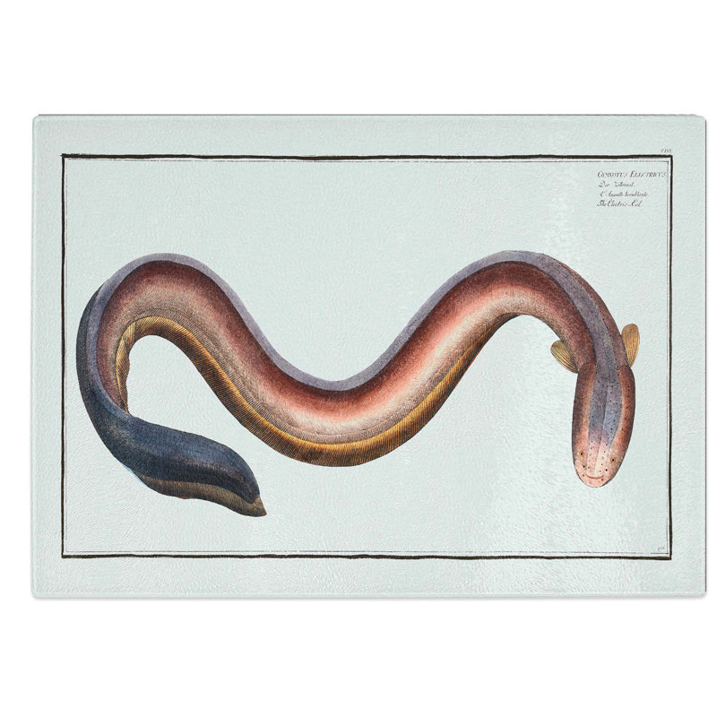 Glass Electric-Eel by M.E. Bloch Chopping Board, 39 cm W x 28.5 cm L