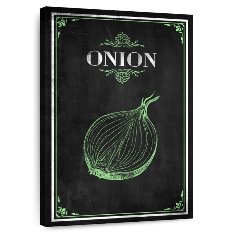 Onion, 24" H x 16" W