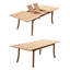 Dwayne Outdoor 11 - Piece Teak Dining Set-1766346202
