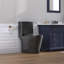 Toilette allongée une pièce avec siège confortable d'une hauteur de 17,3 po, chasse double puissance 0,8 / 1,28 GPF et carte 1000g-105968353