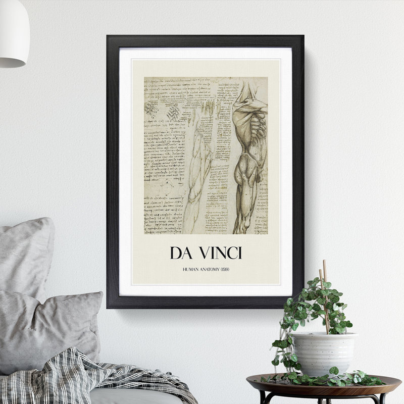 Human Anatomy Vol.6 by Leonardo Da Vinci - Picture Frame Drawing, Black Framed, 36cm H x 27cm W x 2cm D