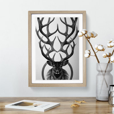 Monochrome Stag - Framed Print