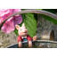 Cintre Beatrix Potter Pigling Bland Pot