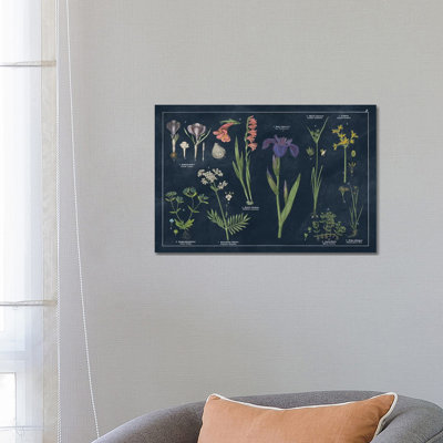 Botanical Floral Chart II Dark Blue - Wrapped Canvas Print
