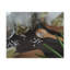 No Frame Print on Canvas-39944892