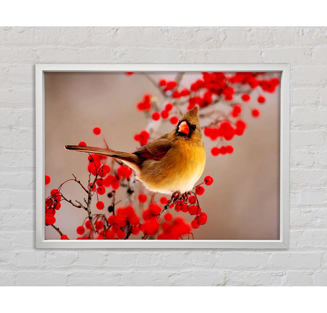 Gartenvogel - Einzelner Bilderrahmen Kunstdrucke auf Leinwand