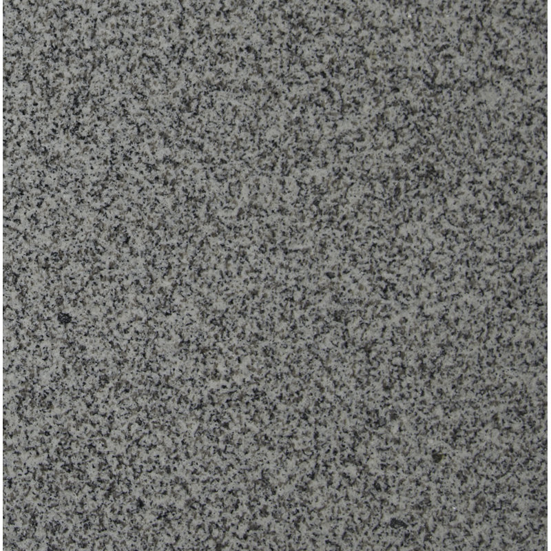 Camara Snow 12 in. x 12 in. Polished Granite Floor and Wall Tile