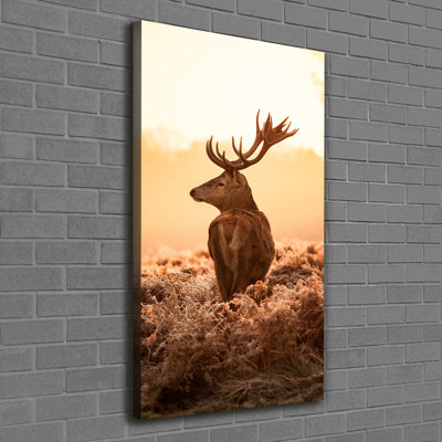 Deer Sunrise - Wrapped Canvas Print