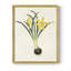 Fleurs des saisons VI, reproduction encadrée - bois massif-1742718114