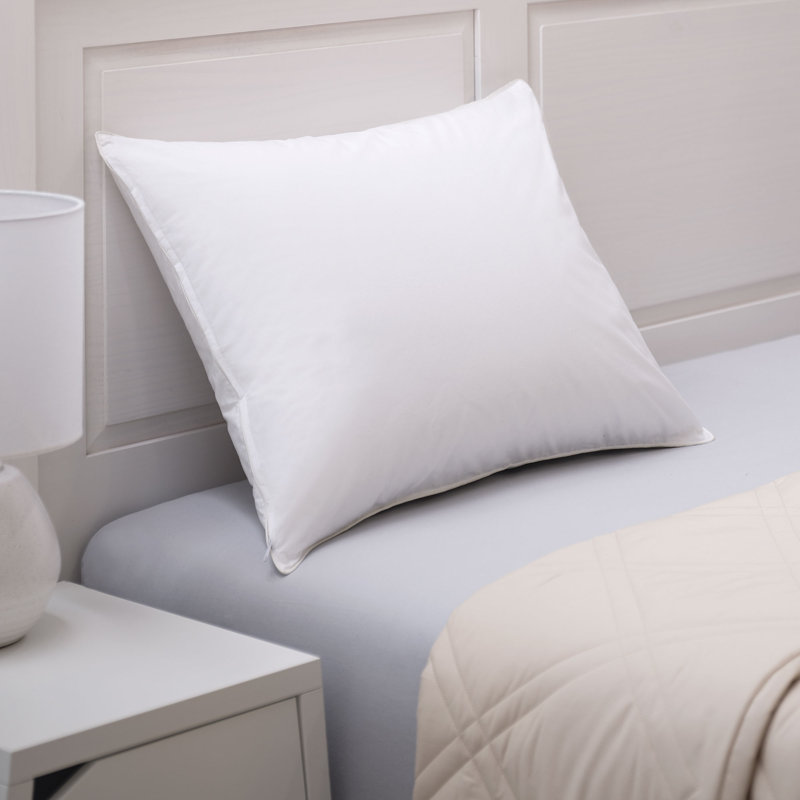 2 Pack pillow Protectors, King
