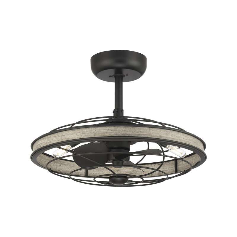 22" Eliana-Lucia 3 - Blade Chandelier Ceiling Fan with Remote Control and Light Kit Included, Black