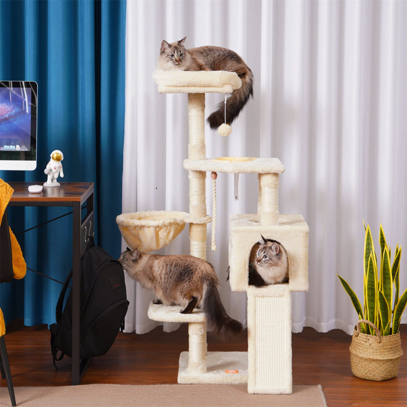 Arbre à chat Evalena, H 49,61 po x l 15,75 po x L 17,72 po, Beige