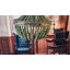 3 - Light Chandelier