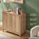 George Oliver Dorcus Accent Cabinet & Reviews | Wayfair