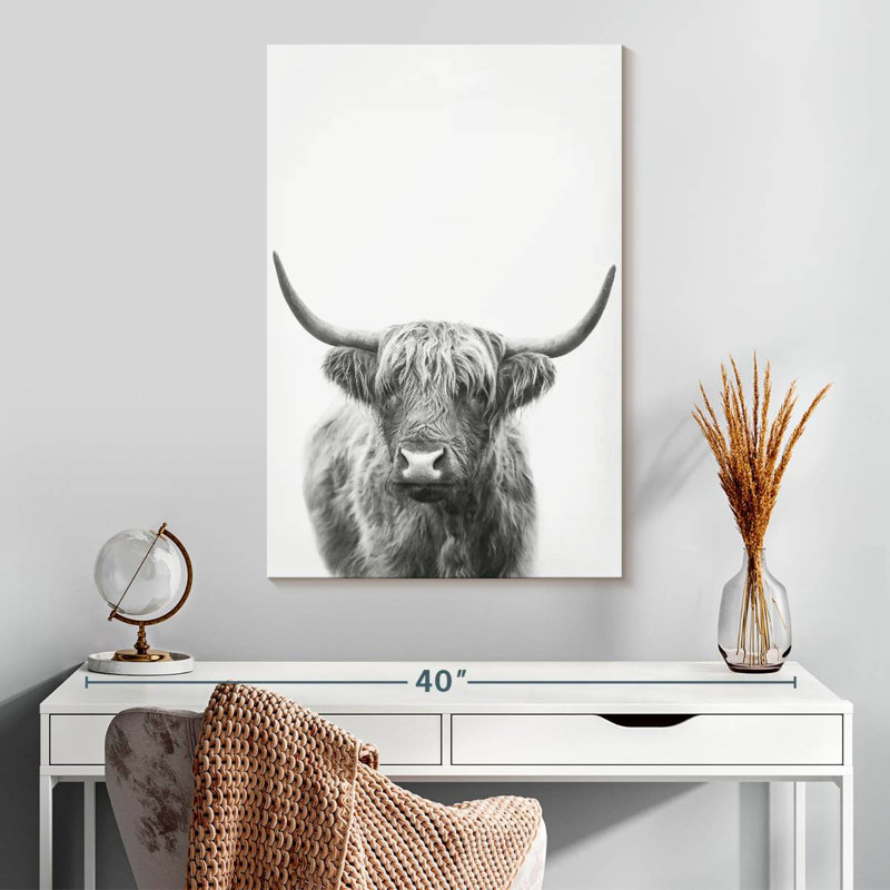 Highland Bull II, H 30 po x l 20 po