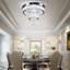 Abishake Chandelier