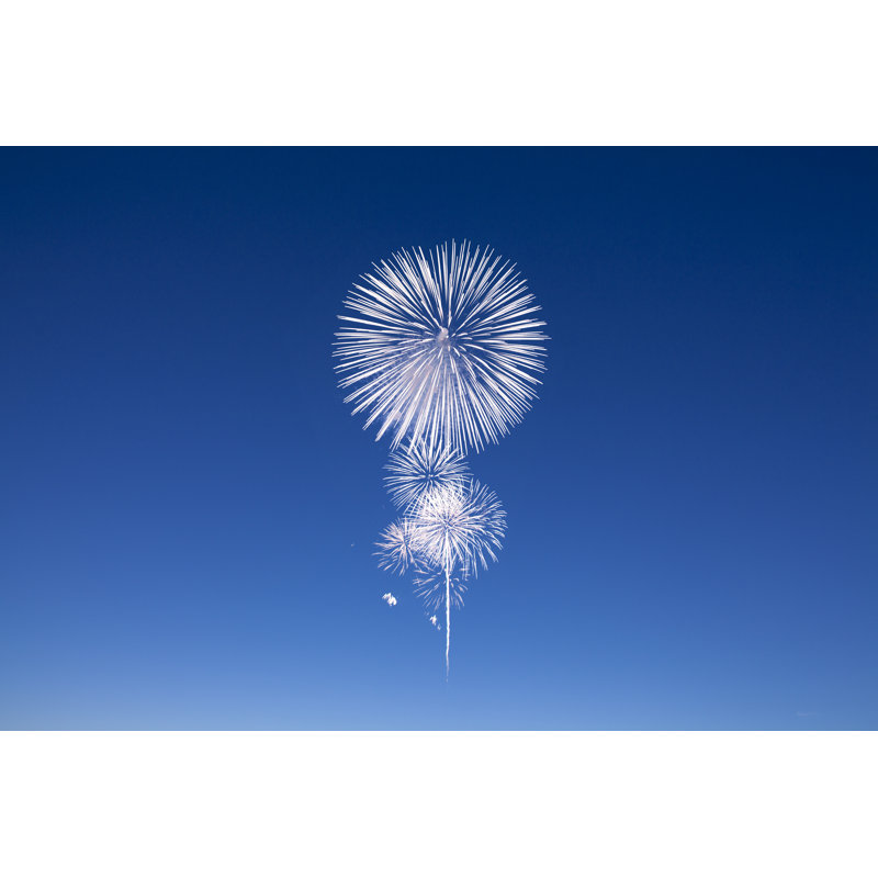 Beauty of Sparkling Fireworks 1 Piece Wrapped Canvas Wall Art