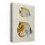 «Yellow and Gray Fish I», impression sur toile tendue-1184053723