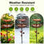 Bird Bath Birdbath