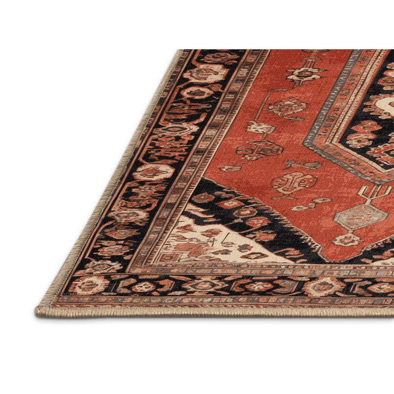 Tapis brun turc lavable à la machine, Rectangulaire 3 pi x 5 pi