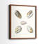 Pastel Knorr Shells III - reproduction encadrée de qualité supérieure - prête à être accrochée - aucun clou requis - aucun clou requis-2033294254-2033294251