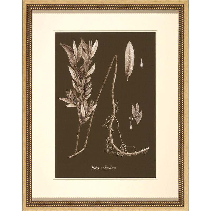 Sepia Leaves On Chocolate III Painting