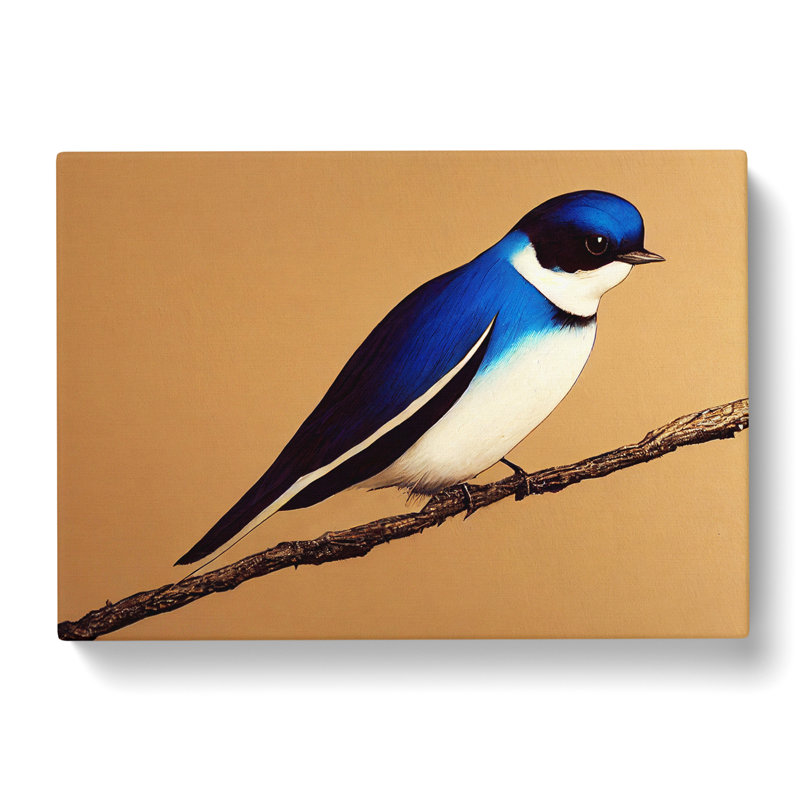 Glowing Swallow Bird - Wrapped Canvas, 35cm H x 50cm W x 3cm D