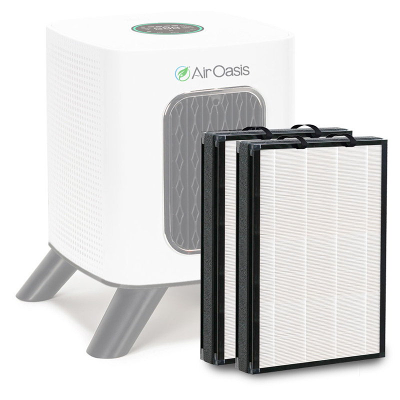 Compact White and Gray Air Purifier with Replacement Filters